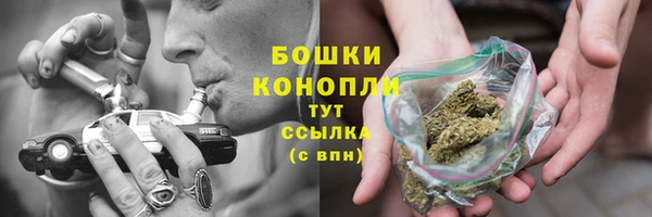 шишки Алексеевка