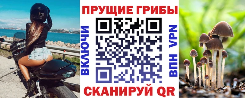 Псилоцибиновые грибы прущие грибы  хочу   Медынь 