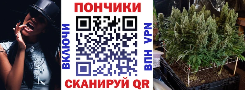 магазин    Медынь  Бошки марихуана индика 